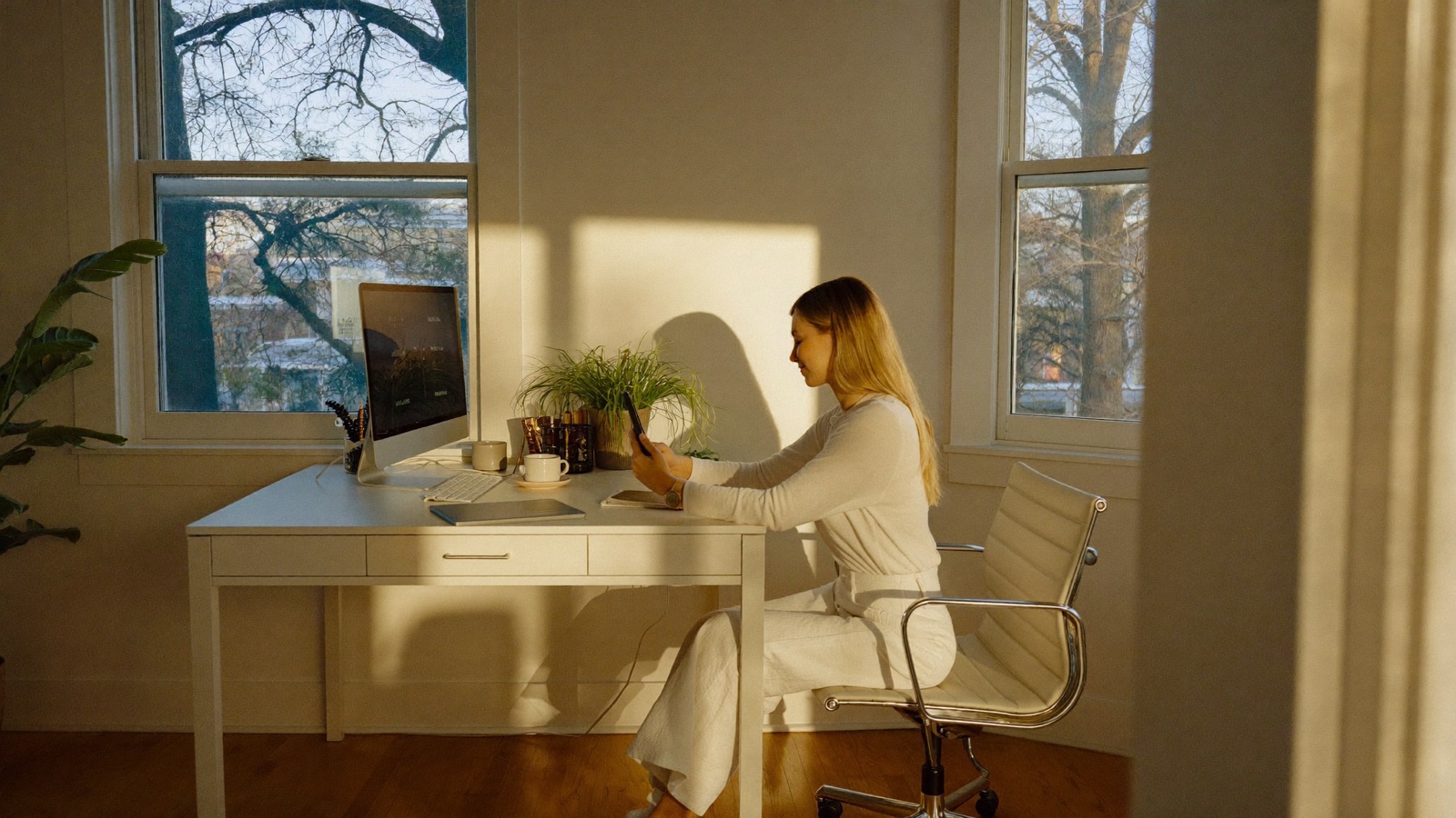 A creator at a sunlit desk